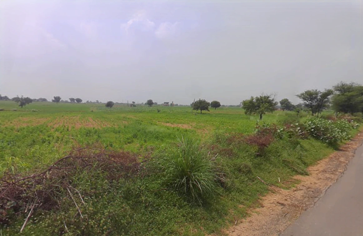 Talwandi Rukka, Haryana 125005, India
