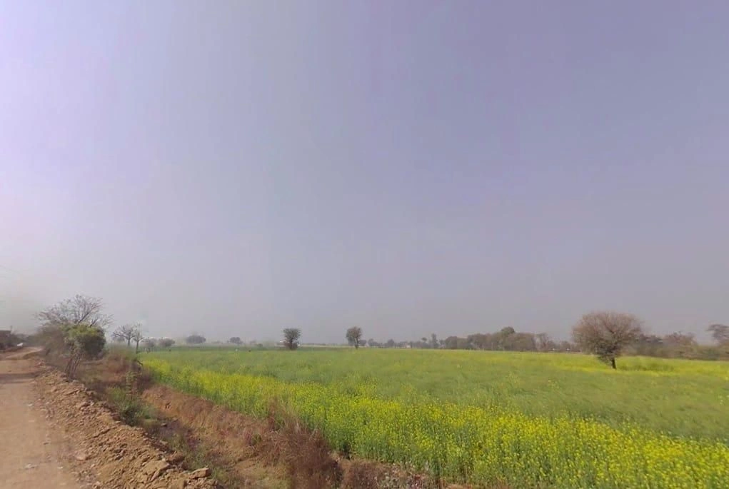 Laxmangarh, Rajasthan 321607, India preview 2