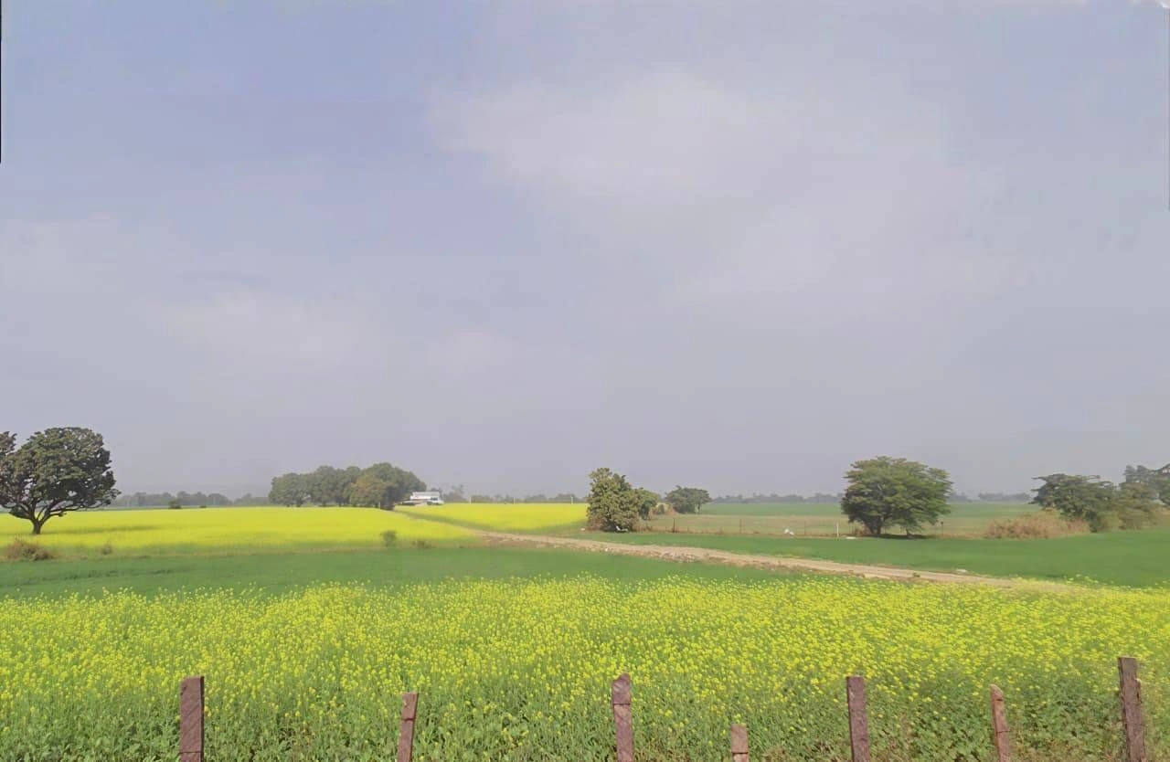 Bamhori, Madhya Pradesh 464551, India