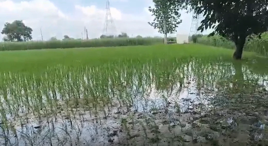 Khatauli, Muzaffarnagar, Uttar Pradesh 251201, India