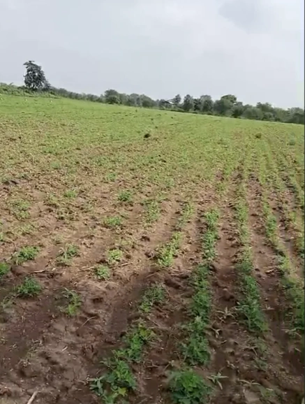 Kesali, Sagar, Madhya Pradesh 470235, India