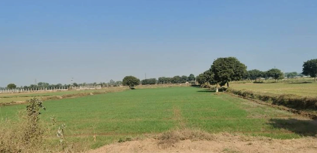 Sikandrabad, Uttar Pradesh 203205, India