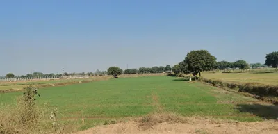 Sikandrabad, Uttar Pradesh 203205, India preview 2