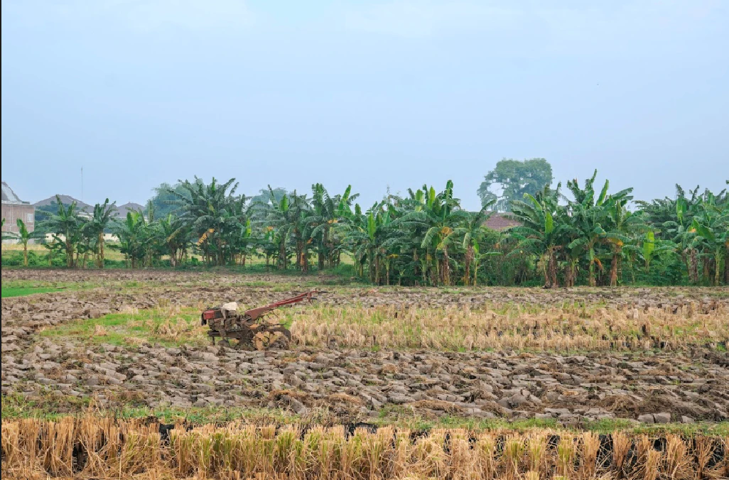 Borawan, Madhya Pradesh 451228, India