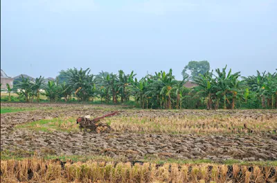 Borawan, Madhya Pradesh 451228, India preview 2