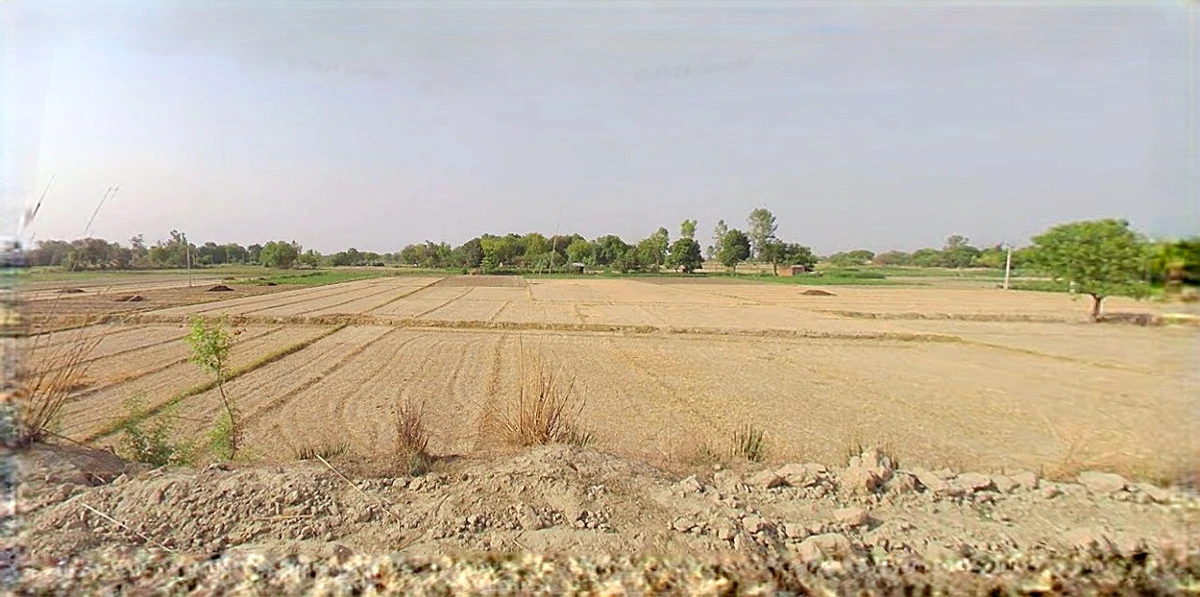 Barnagar, Madhya Pradesh 456771, India