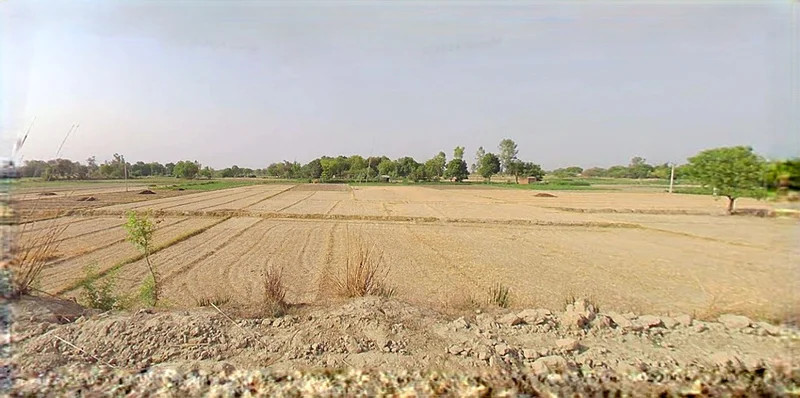Barnagar, Madhya Pradesh 456771, India preview 3