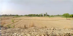 Barnagar, Madhya Pradesh 456771, India preview 3