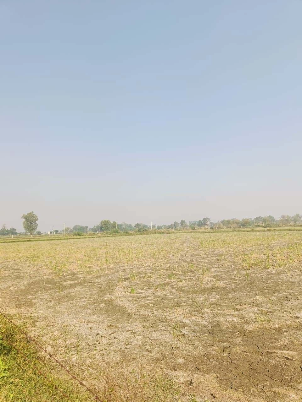 Barhana, Mathura, Uttar Pradesh, India