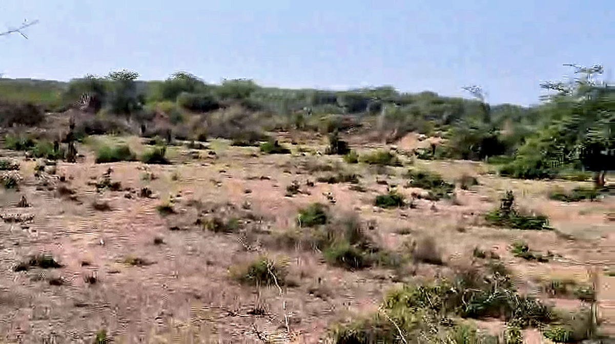 M5CR+422, Lakheri, Rajasthan 323603, India