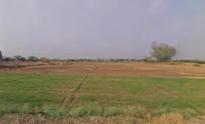 Badakhera, Rajasthan 323603, India preview 3