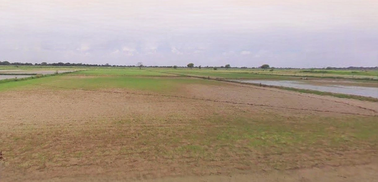 Deoband, Uttar Pradesh 247554, India