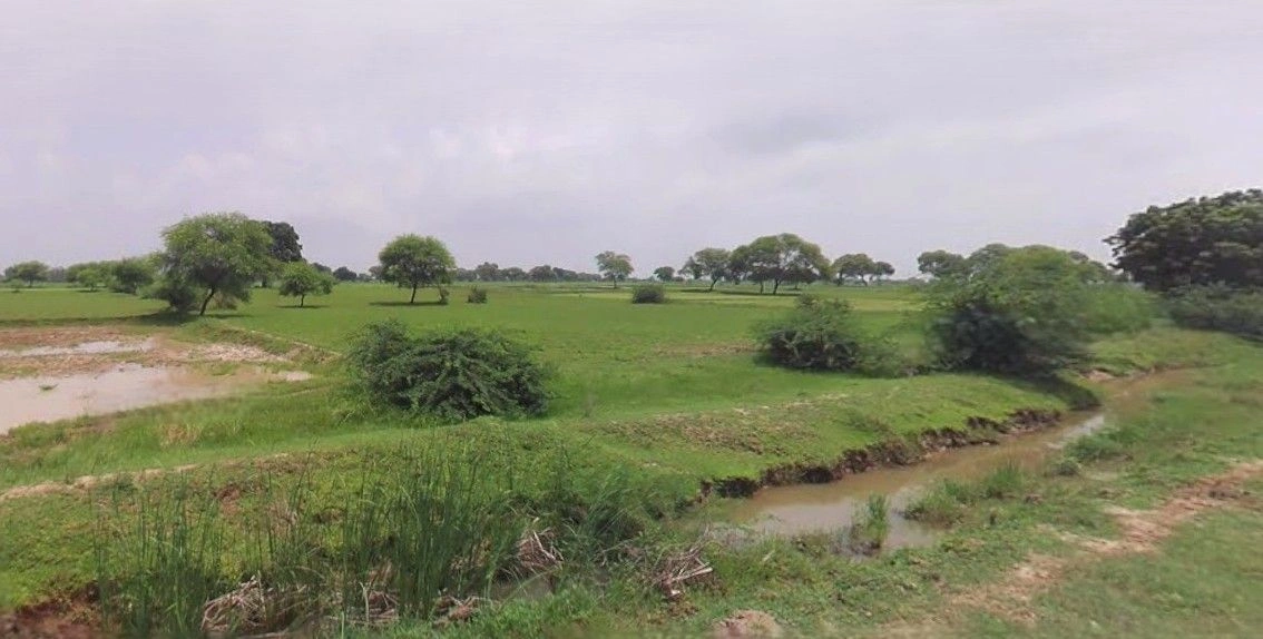 Simbhaoli, Uttar Pradesh 245207, India
