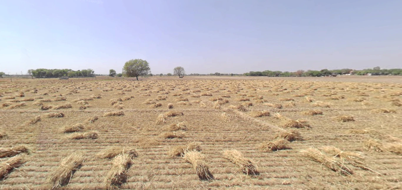Kelia Vasna, Gujarat, India