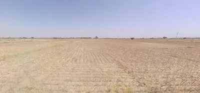 Radhu, Gujarat 387560, India preview 2