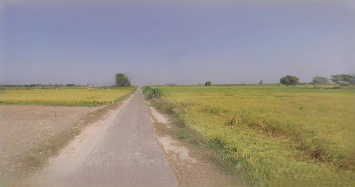 Rewari, Haryana 123401, India