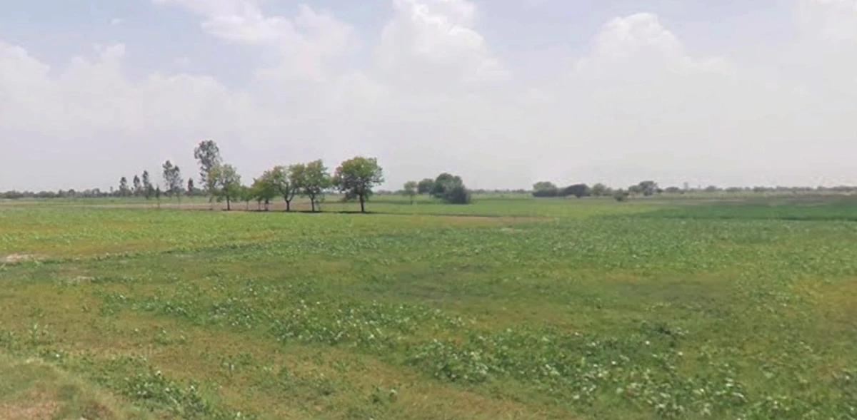 Hatpipliya, Madhya Pradesh 455223, India