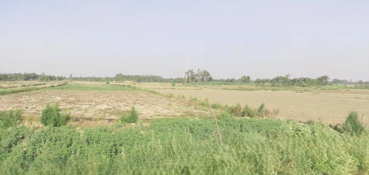 RV9Q+778 Ayush electricals, Majhola, Pakaria Vijaypur, Uttar Pradesh 262302, India preview 3