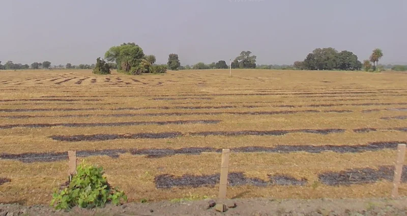 Phanda Kala, Madhya Pradesh 462030, India preview 2