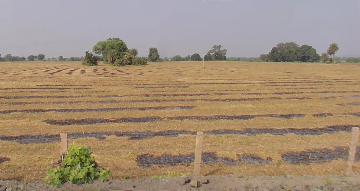 Phanda Kala, Madhya Pradesh 462030, India