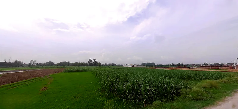 Jwalapur, Uttarakhand, India preview 3