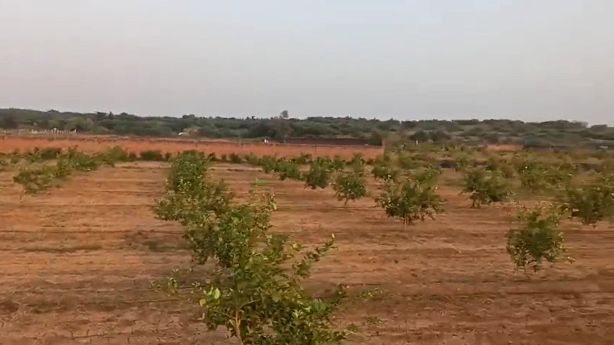62FR+G85, Sehsaula, Haryana, India