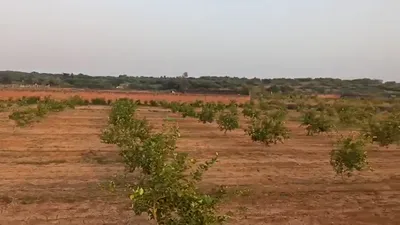 62FR+G85, Sehsaula, Haryana, India preview 3