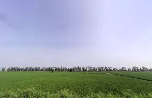 Kurukshetra, Haryana, India preview 2