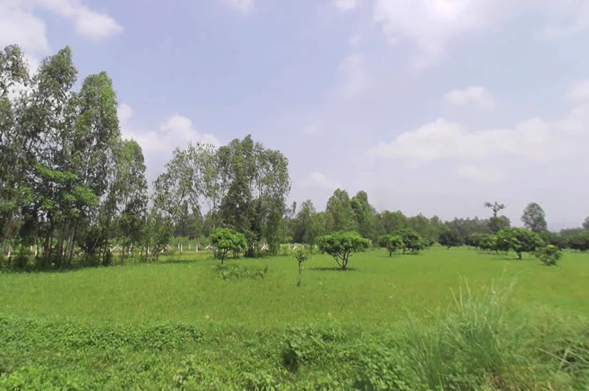 Jaitpur Kalan, Uttar Pradesh 247129, India