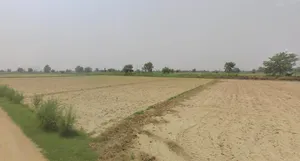 Maksi, Madhya Pradesh, India preview 3