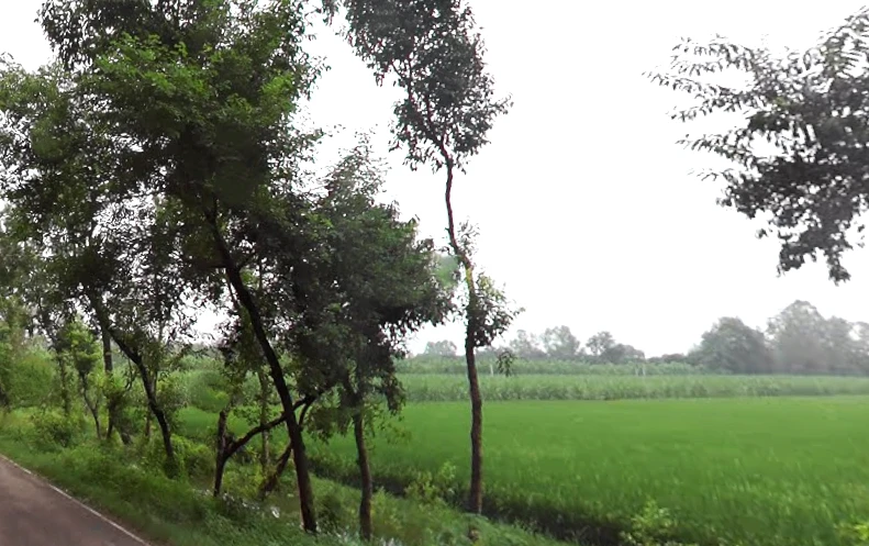Kurdi Khera, Uttar Pradesh 247129, India