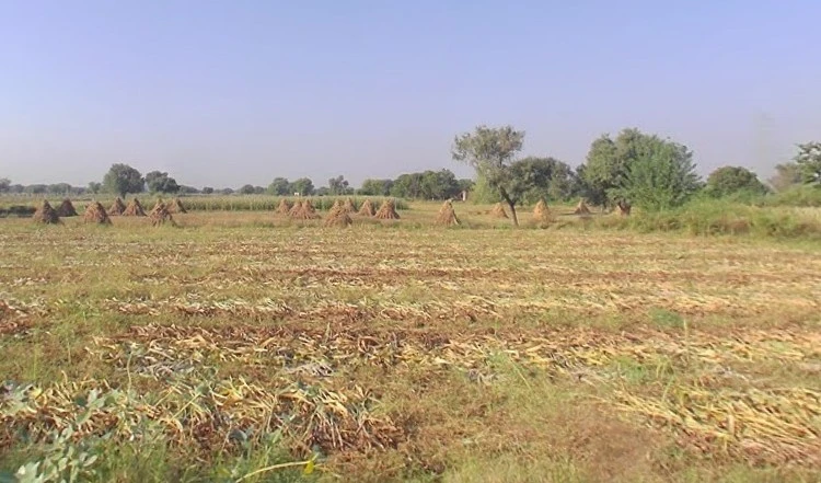 Mandhan, Rajasthan 301704, India