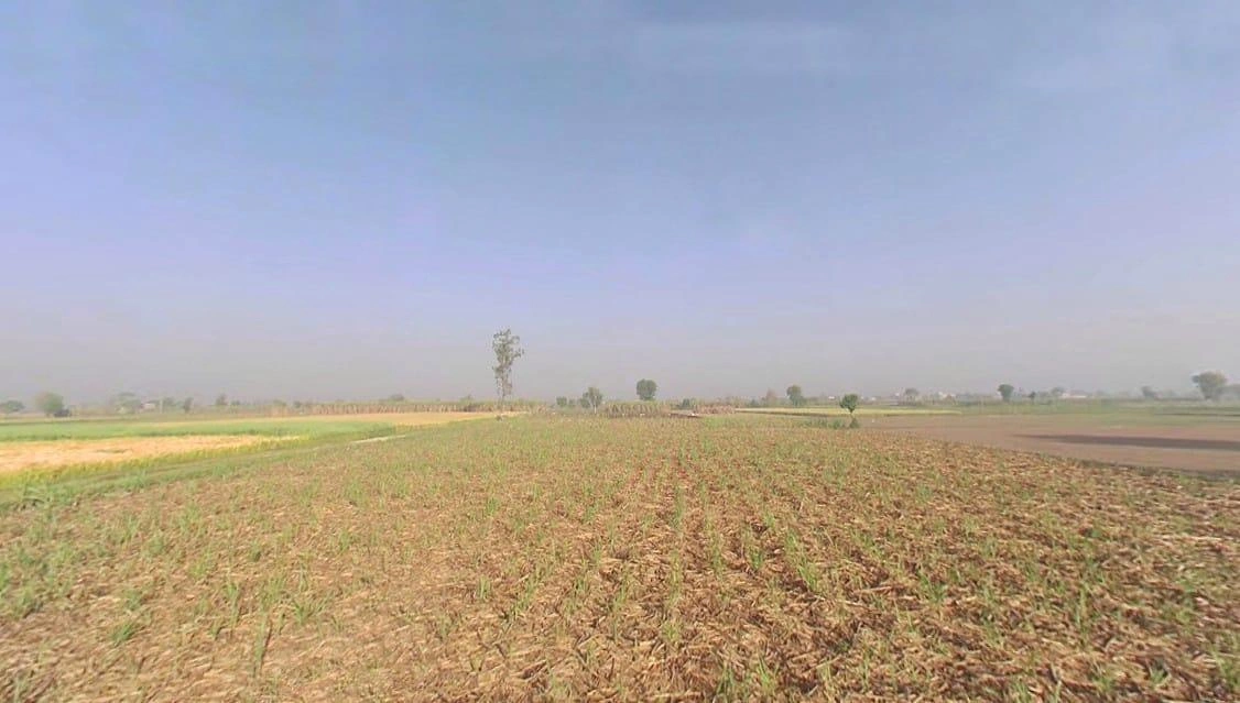 Shakurpur, Uttar Pradesh 245206, India