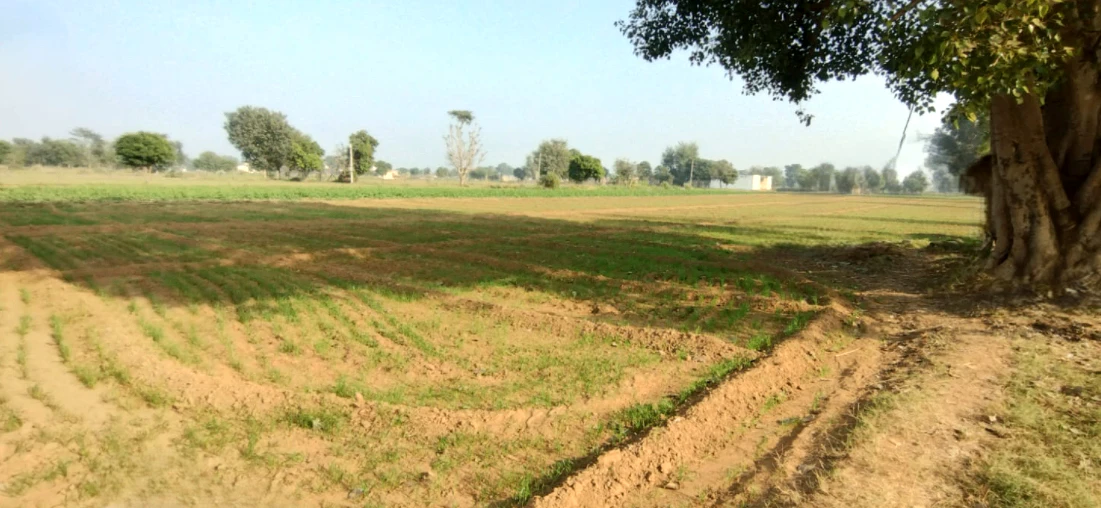Sirhind Rd, Harinder Nagar, Patiala, Punjab 147004, India