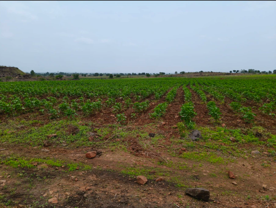 Dungariya, Raisen, Madhya Pradesh, India