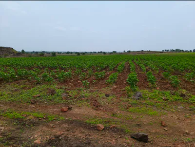 Dungariya, Raisen, Madhya Pradesh, India preview 3