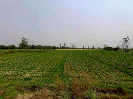 Sardhana, Uttar Pradesh 250342, India preview 3