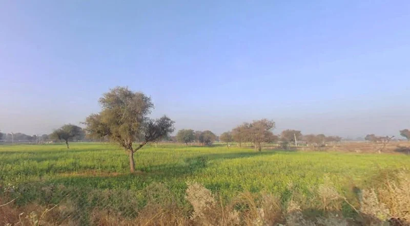 Mokhampura, Rajasthan 303604, India preview 3