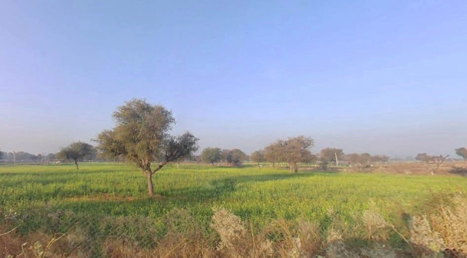 Mokhampura, Rajasthan 303604, India