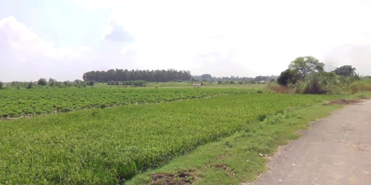 Lohana, Madhya Pradesh 456771, India