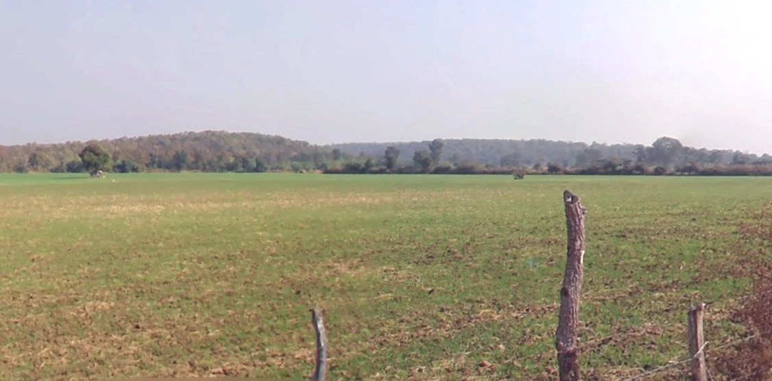 Delawadi, Madhya Pradesh, India