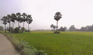 Masagram, West Bengal, India preview 2