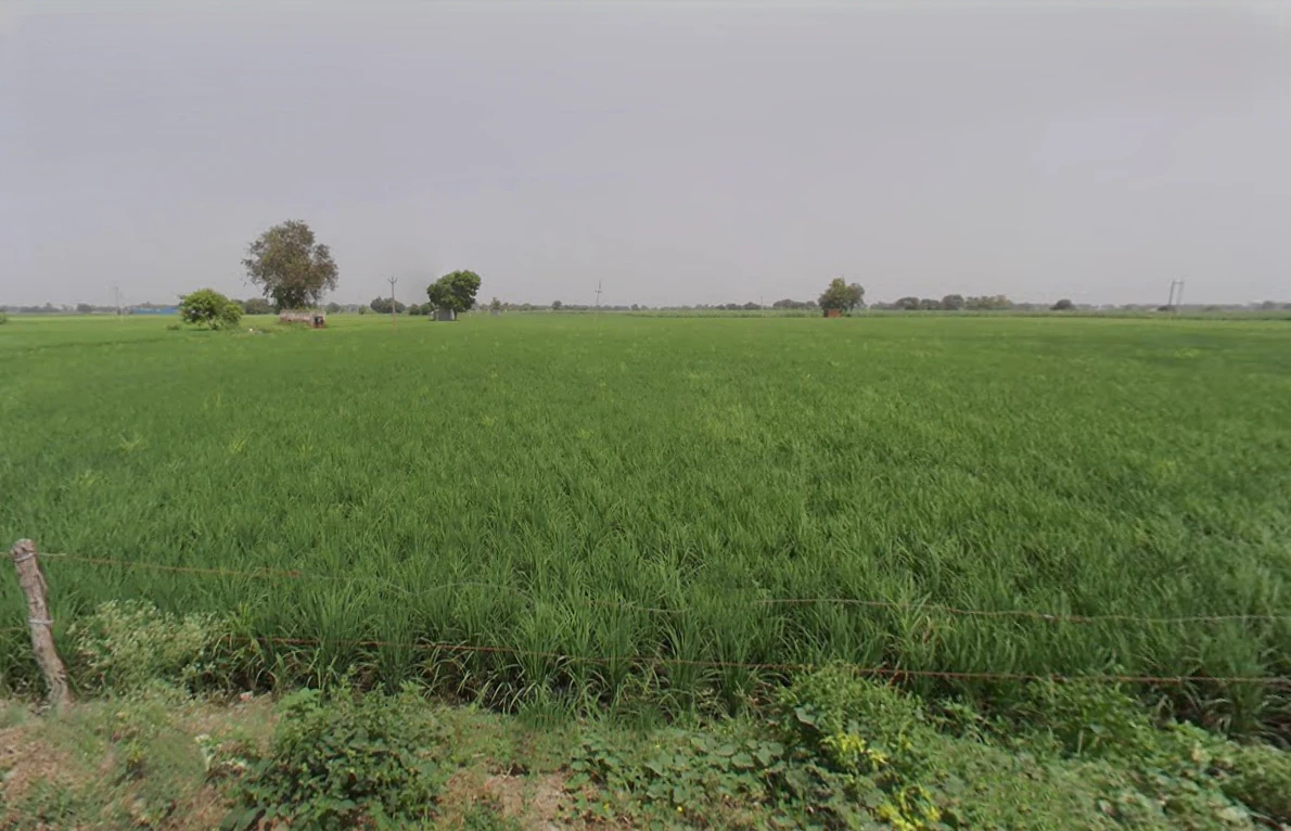Baraut Rural, Uttar Pradesh, India