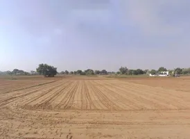 Chamroda, Rajasthan 301405, India preview 3