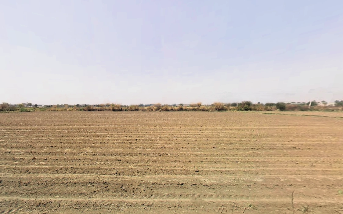 Pirthla, Haryana, India