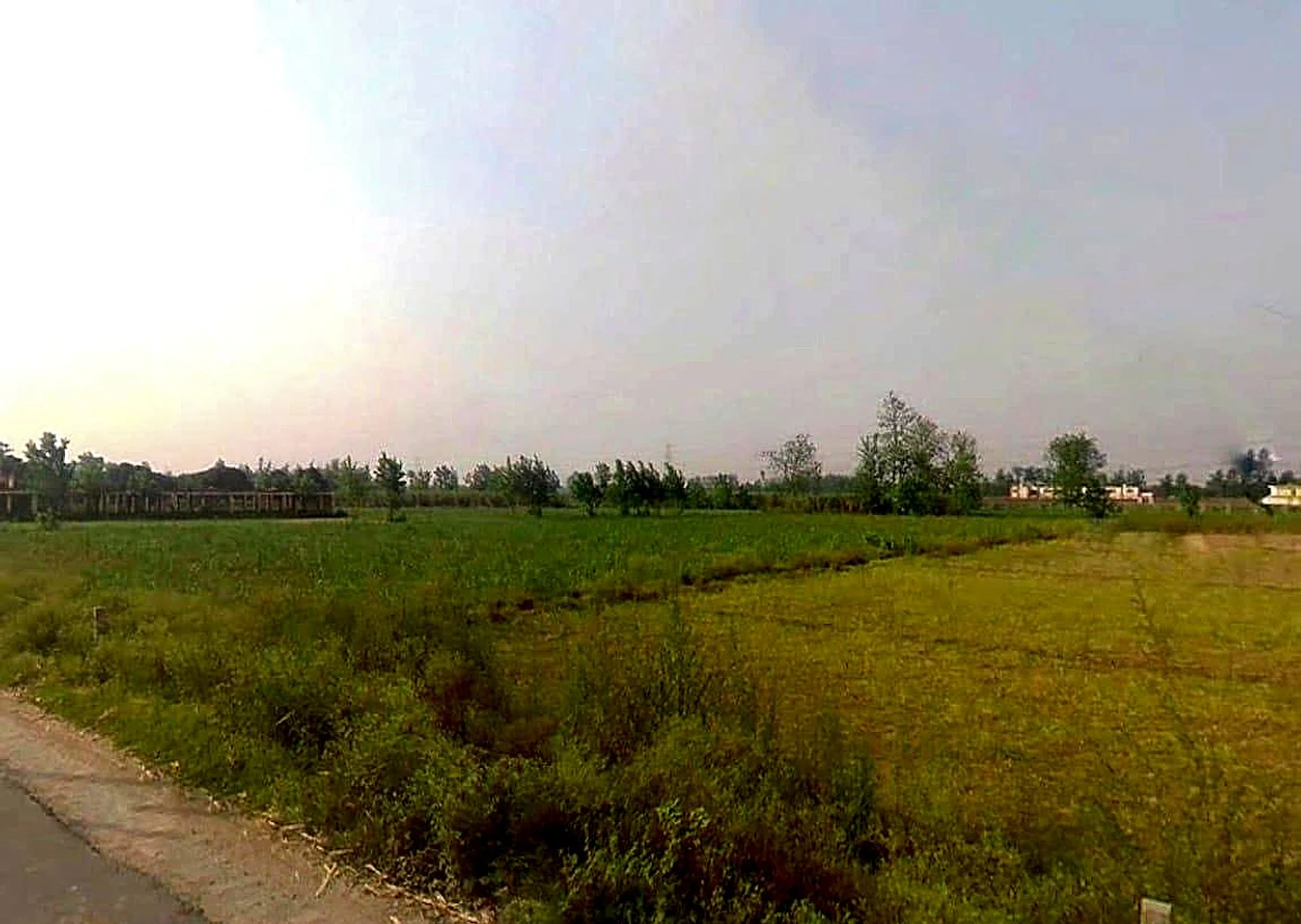 5JFC+MRQ, Jhitkari, Uttar Pradesh 250342, India