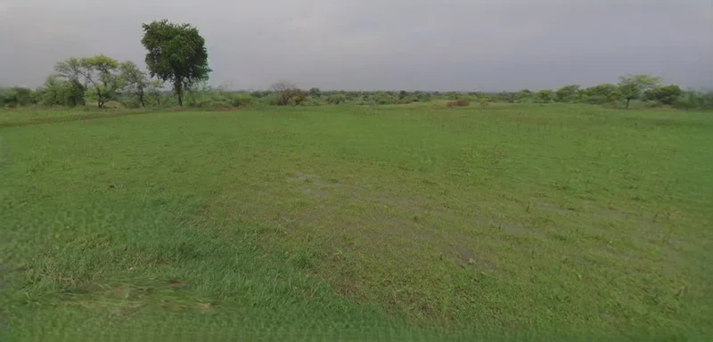 Rangia, Assam, India preview 3