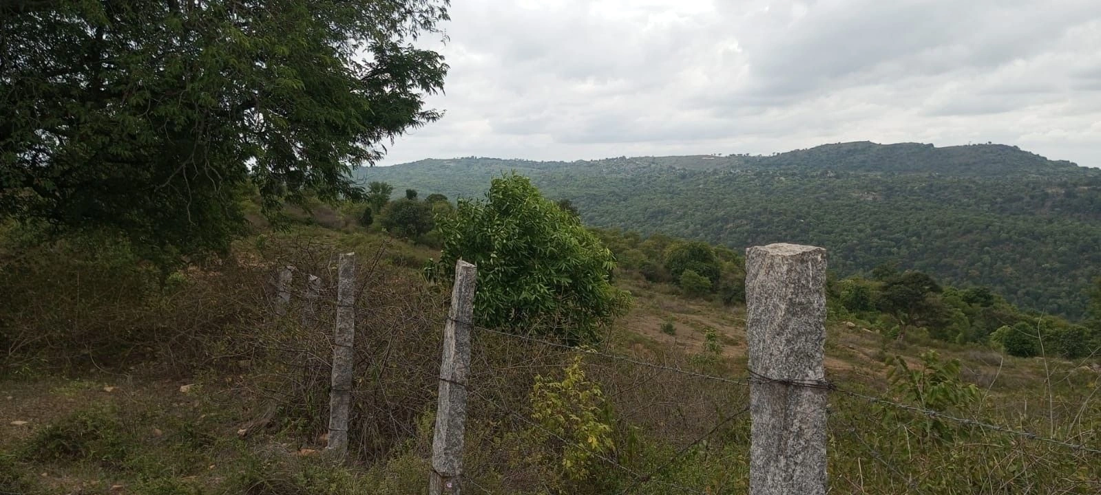 CMH8+6FM, Krishnagiri, Karadikkal, Tamil Nadu, India