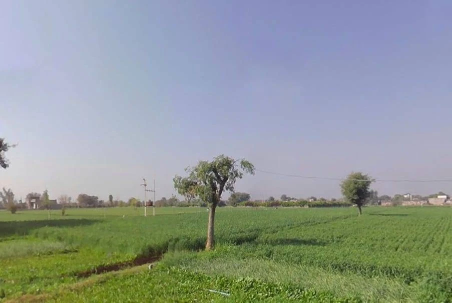 Bhaktal, Alwar, Rajasthan, India