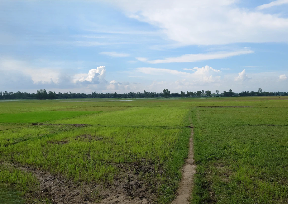 Tama Seoni, Chhattisgarh 493661, India